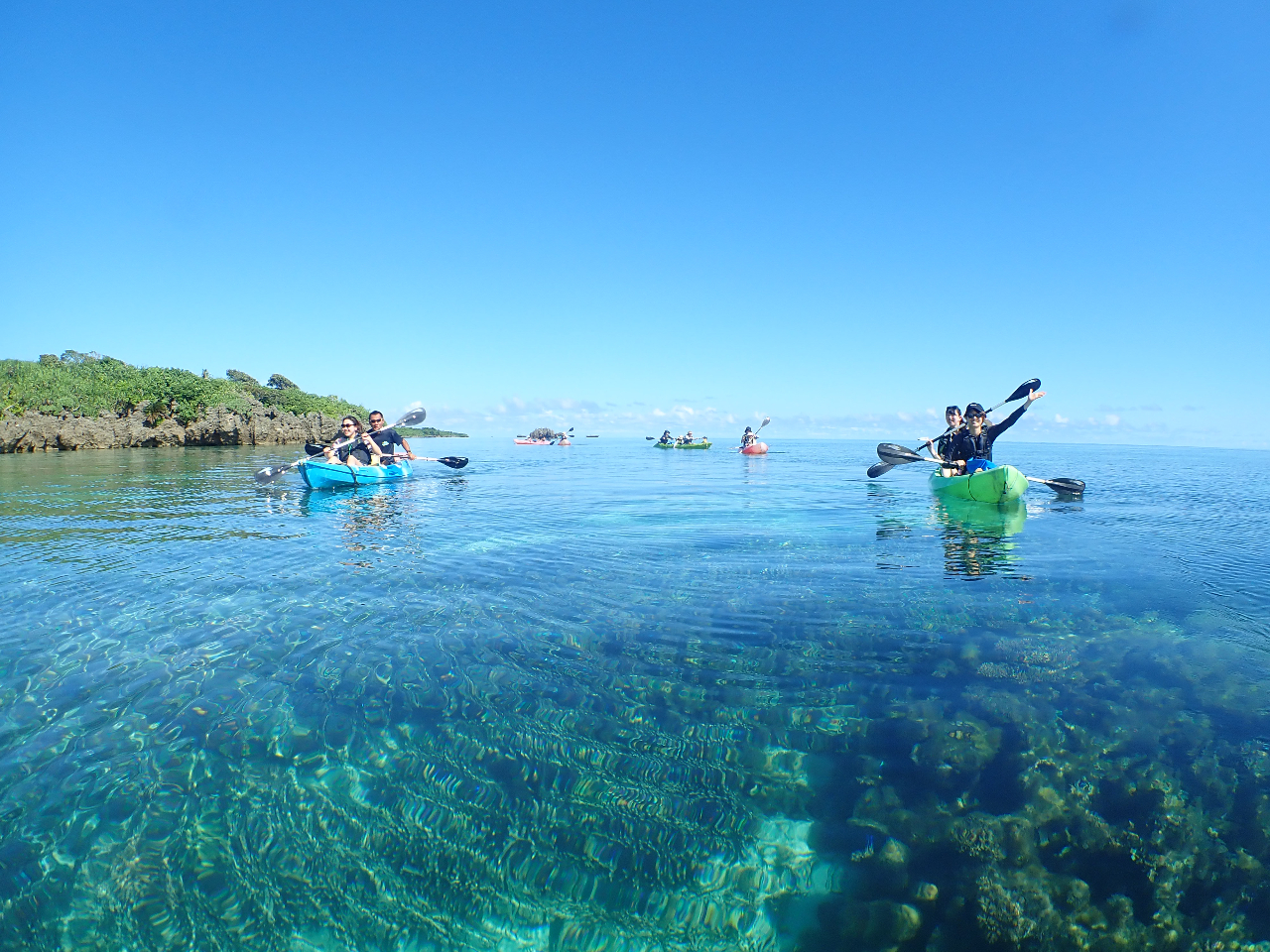 ₩Ȏ̓JbN̏ォCEیł^^