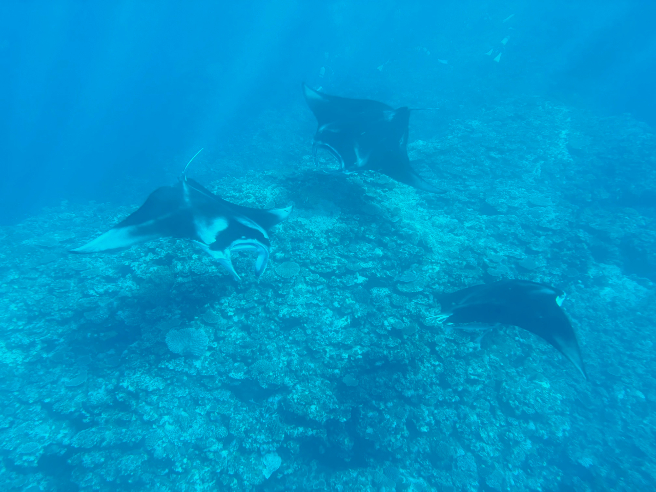 �^���ǂ���΁��}���^�Ղ聙