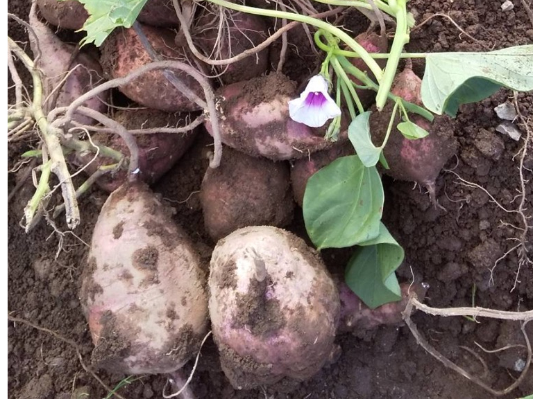 �S���S����