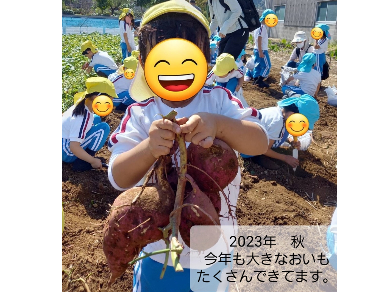 2023�N���L��ł��B