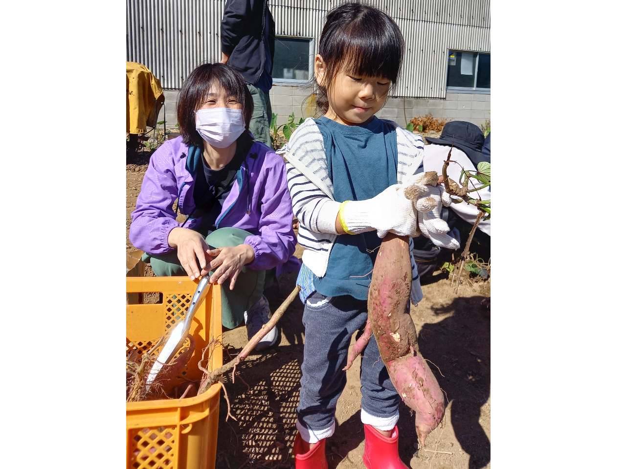 �Ȃ��`���������A�Ƃ�܂����I