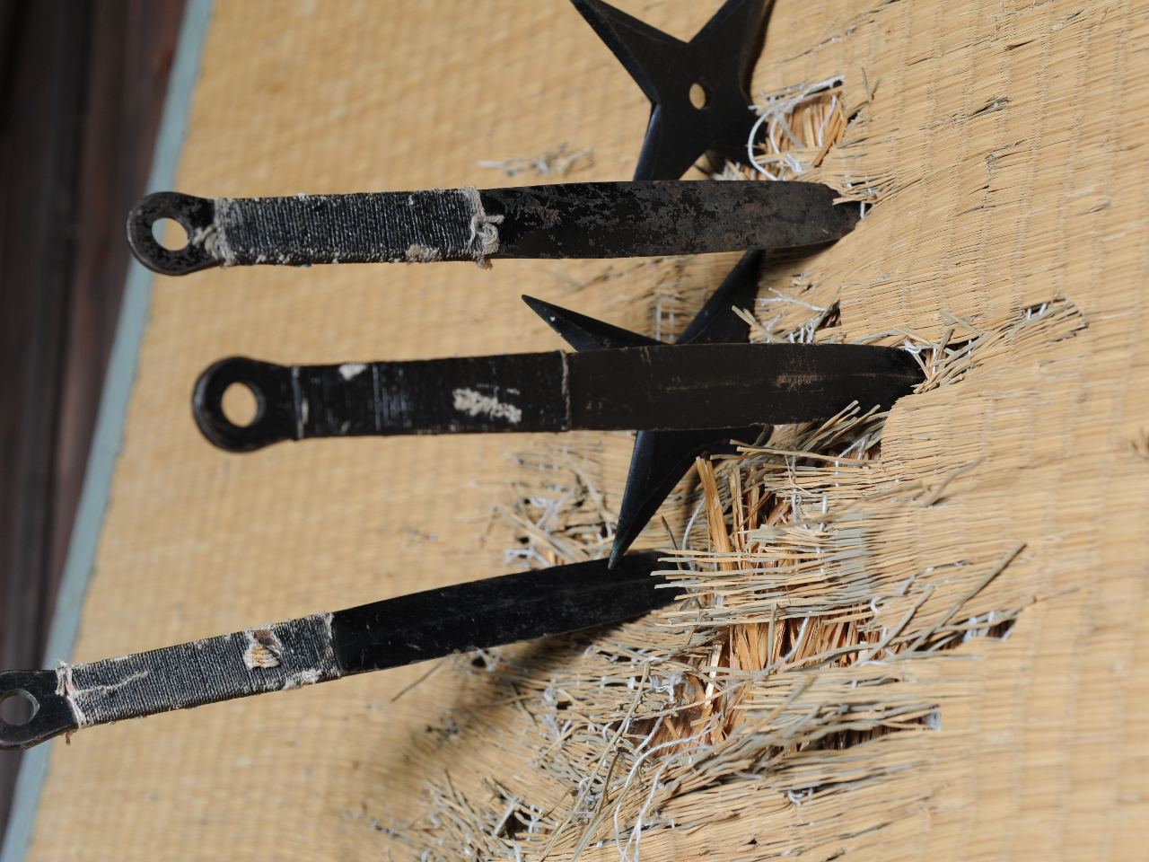 歴史も学べます