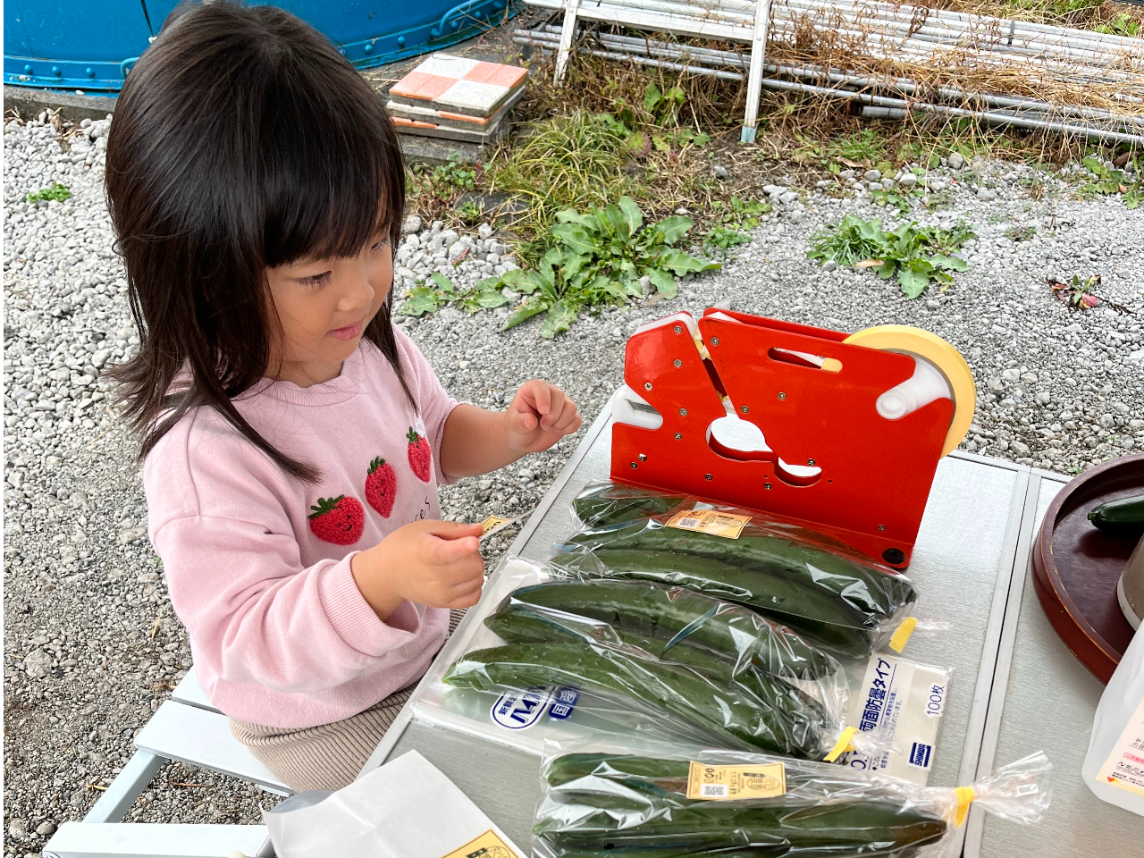 収穫が終わったら農家さんのお仕事、袋詰めを体験していただきます!