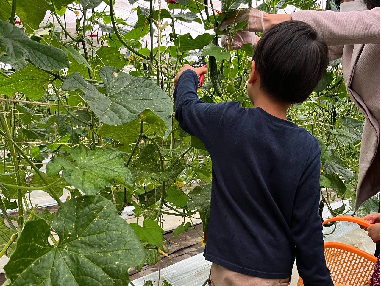 お子様も保護者の方と一緒に体験できます♪
