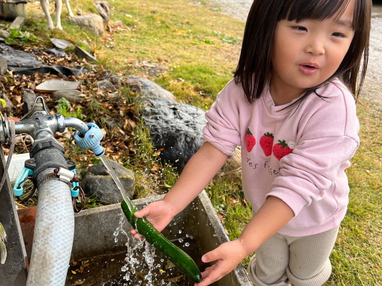 Eݎイ͓Eݎ̌ɂꂢɐĂ炲H܂