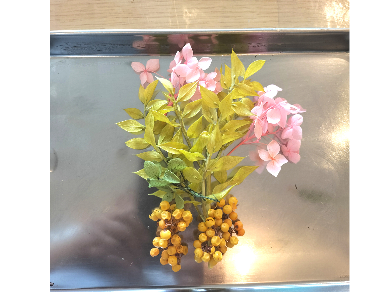 OX̒AJ[̏ɂȃhCt[̈ւuĂfGłB