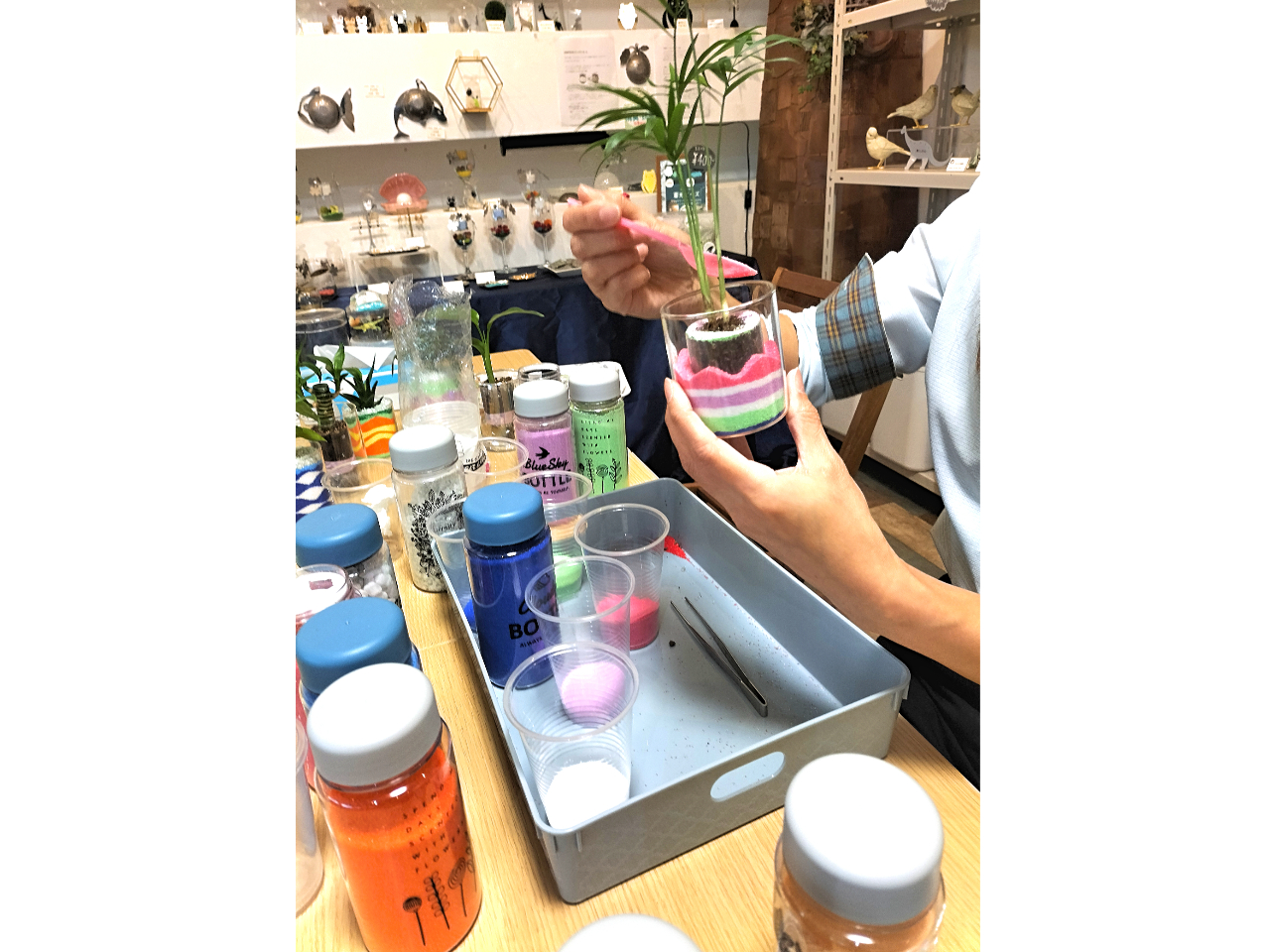 ŏɐF̔zFl܂傤B̖͗l͂炩ߍlĂ܂Ƃ߂Ȃ猈߂Ă܂B܂͍ut̐搶̃AhoCX󂯂܂傤B