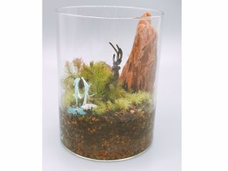 2人の妖精が森を苔の森を散歩中に鹿さんに会いました。