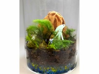 苔と砂でつくる、手のひらサイズの小さな森。 旅の途中に、ゆっくり自分のペースで楽しめる苔テラリウム体験です。