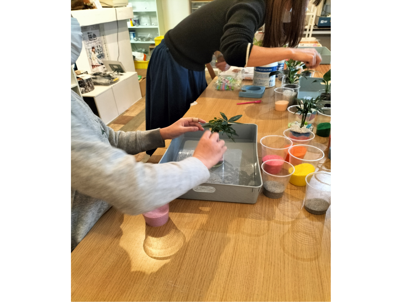 �F��ۂ̔z�u���l���Ȃ���A�ЂƂ����J�ɐ���B �u�t�����΂ŃT�|�[�g����̂ŁA�͂��߂Ă̕��ł����S���Ċy���߂܂��B