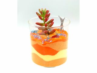 カラーサンドと多肉でつくる、手のひらサイズのガーデン。 写真は作品イメージです。配置や色合いは自由にお楽しみいただけます。