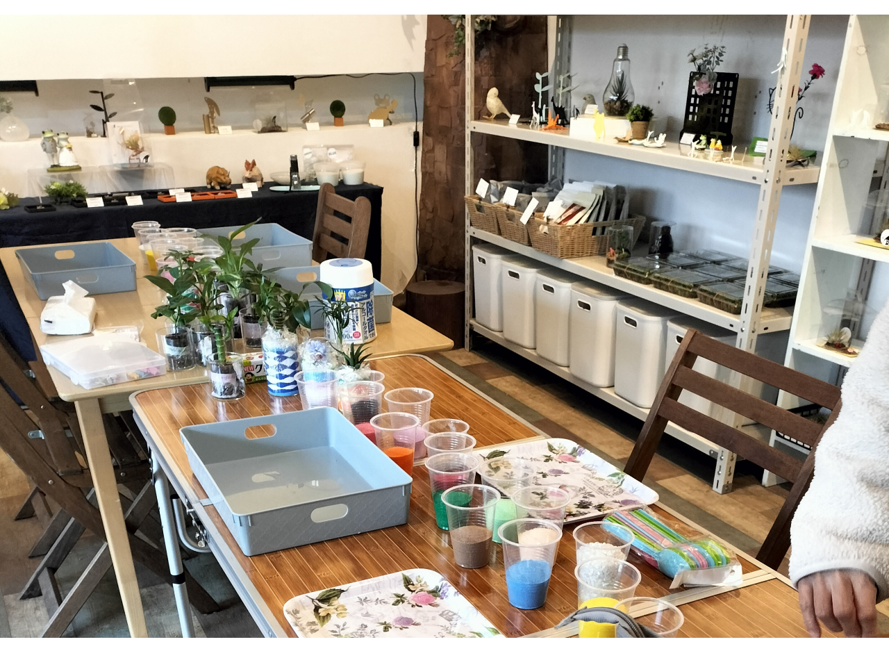 �F��f�ނ�I�ԂƂ��납��A���̂Â���̎��Ԃ��n�܂�܂��B