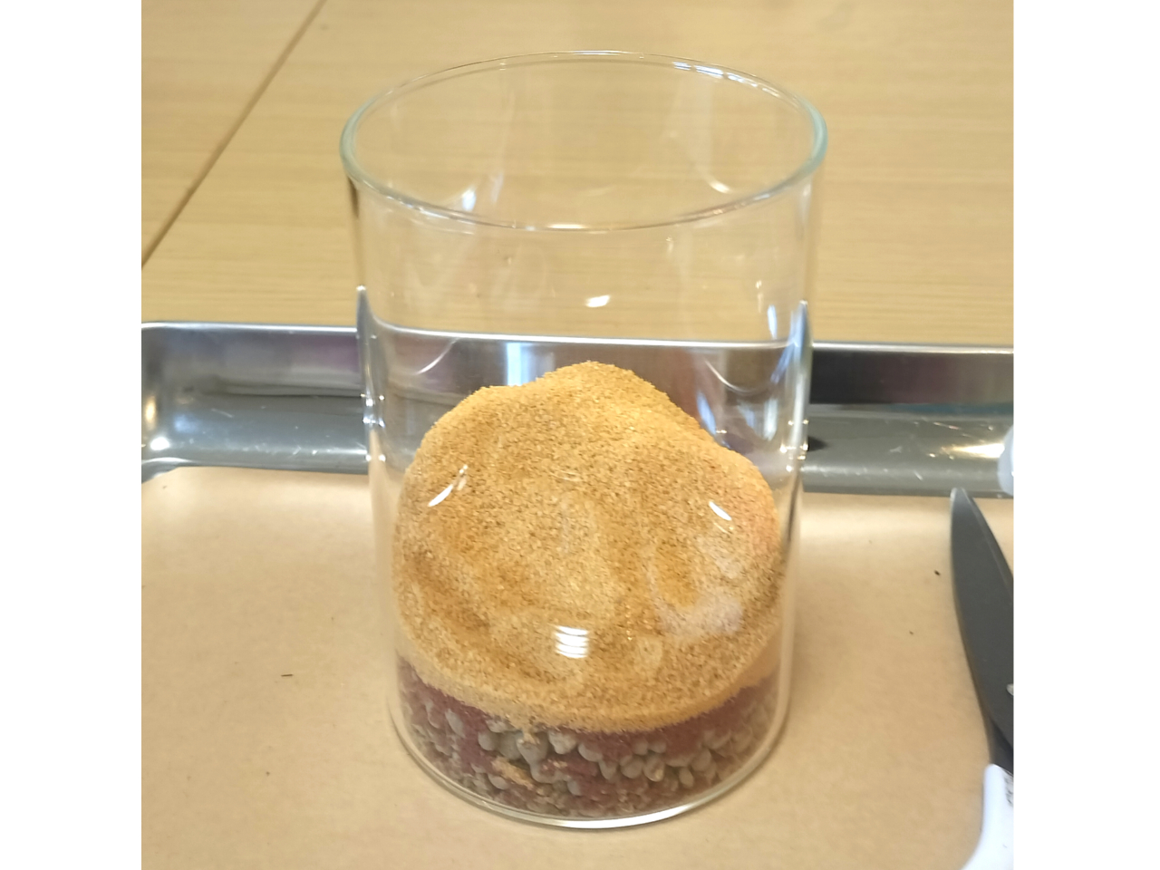 ��n���C���[�W�����T���h�����������܂��B