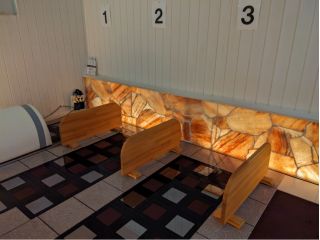 茶色のバドプレートからは400マイクロシーベルトの低線量放射線が放出されています。この数値は体に良いホルミシスの領域です。1番から3番はテラとバドのダブル効果。