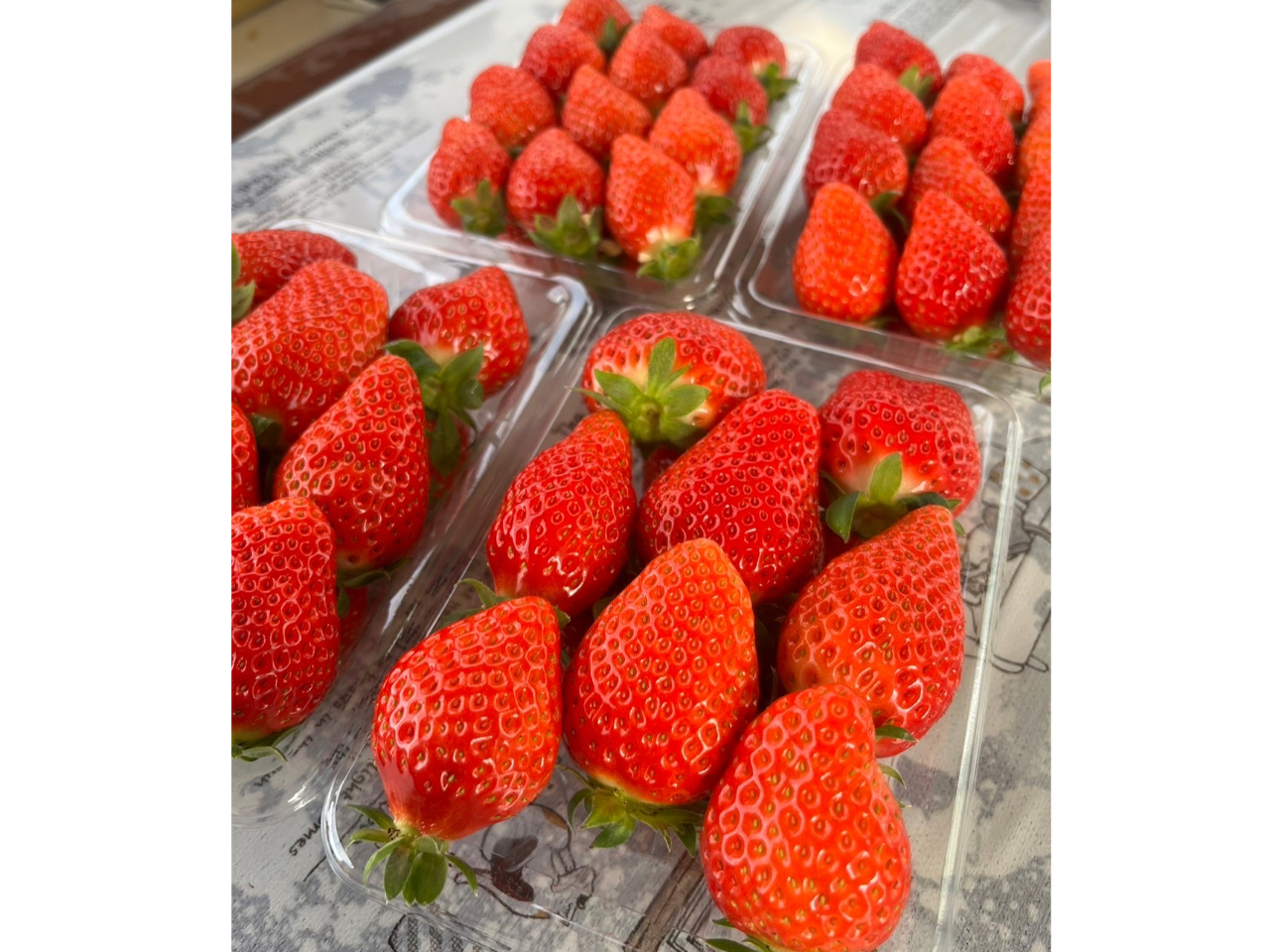 ͂PpbN700~`@@ɂBiՂĂ܂@@@@@@@@@@@