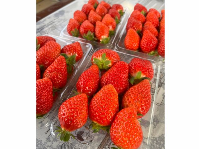 直売は1パック700円〜  日によってB品祭りやってます