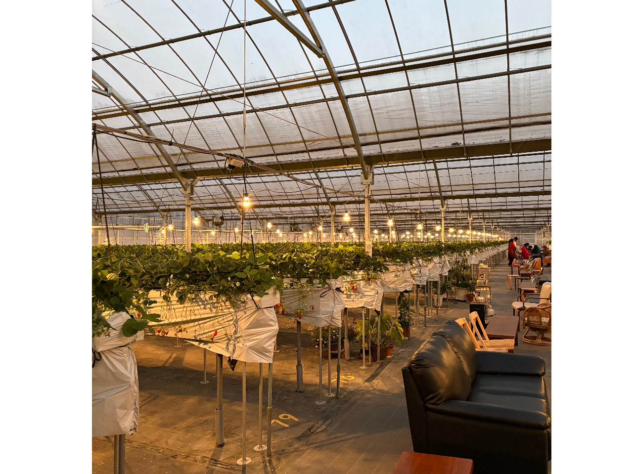 �i�C�g����������17���A18���A19���X�^�[�g�ł��������Ă���܂��B