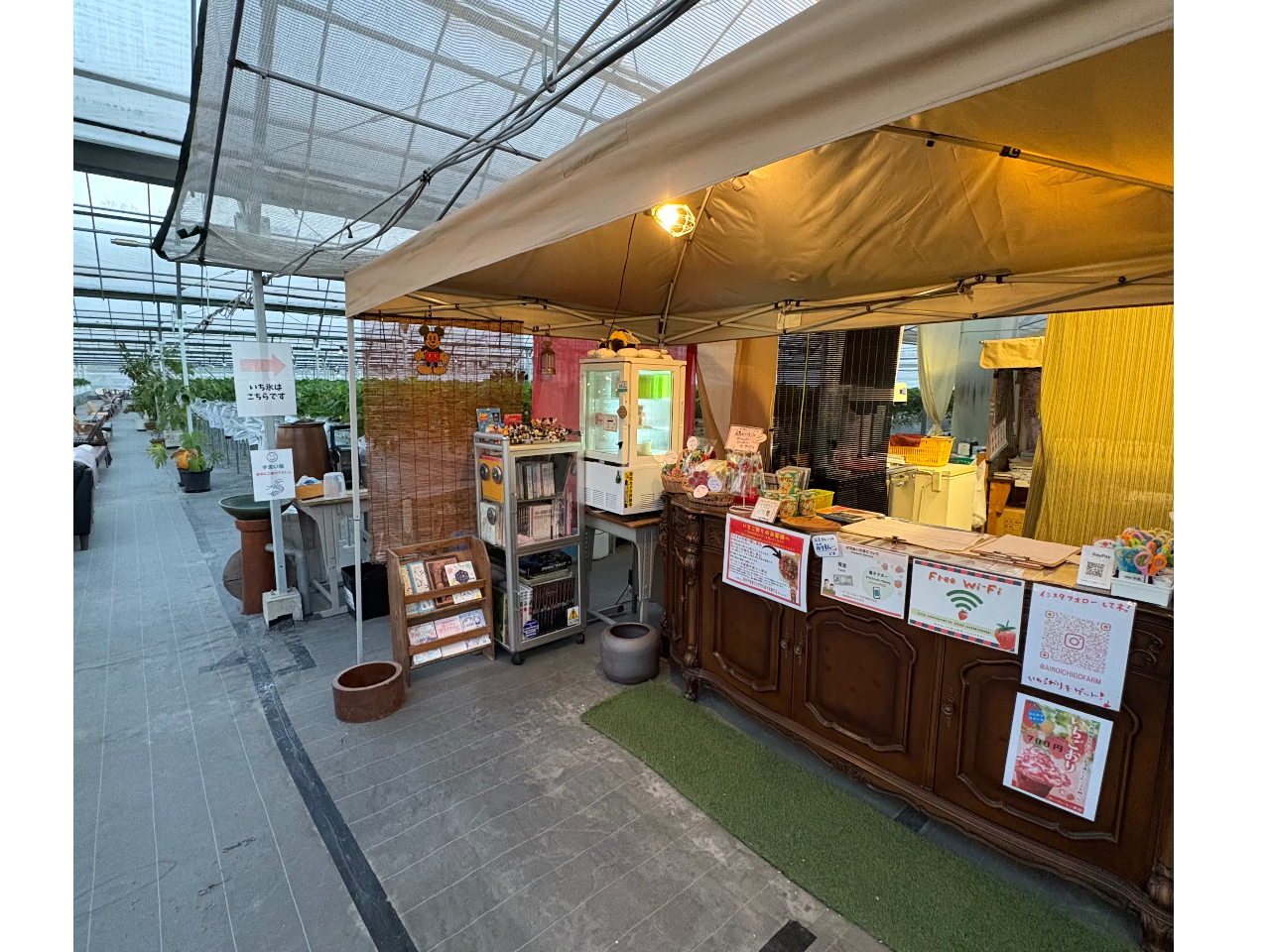 ��̂���������17���`19���B���������������_��I�ȕ��͋C�ł��y���݉������B