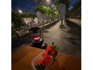 夜はストーブもご用意いたします。ふんわりライトアップの中宝探しの様にお楽しみ下さい。