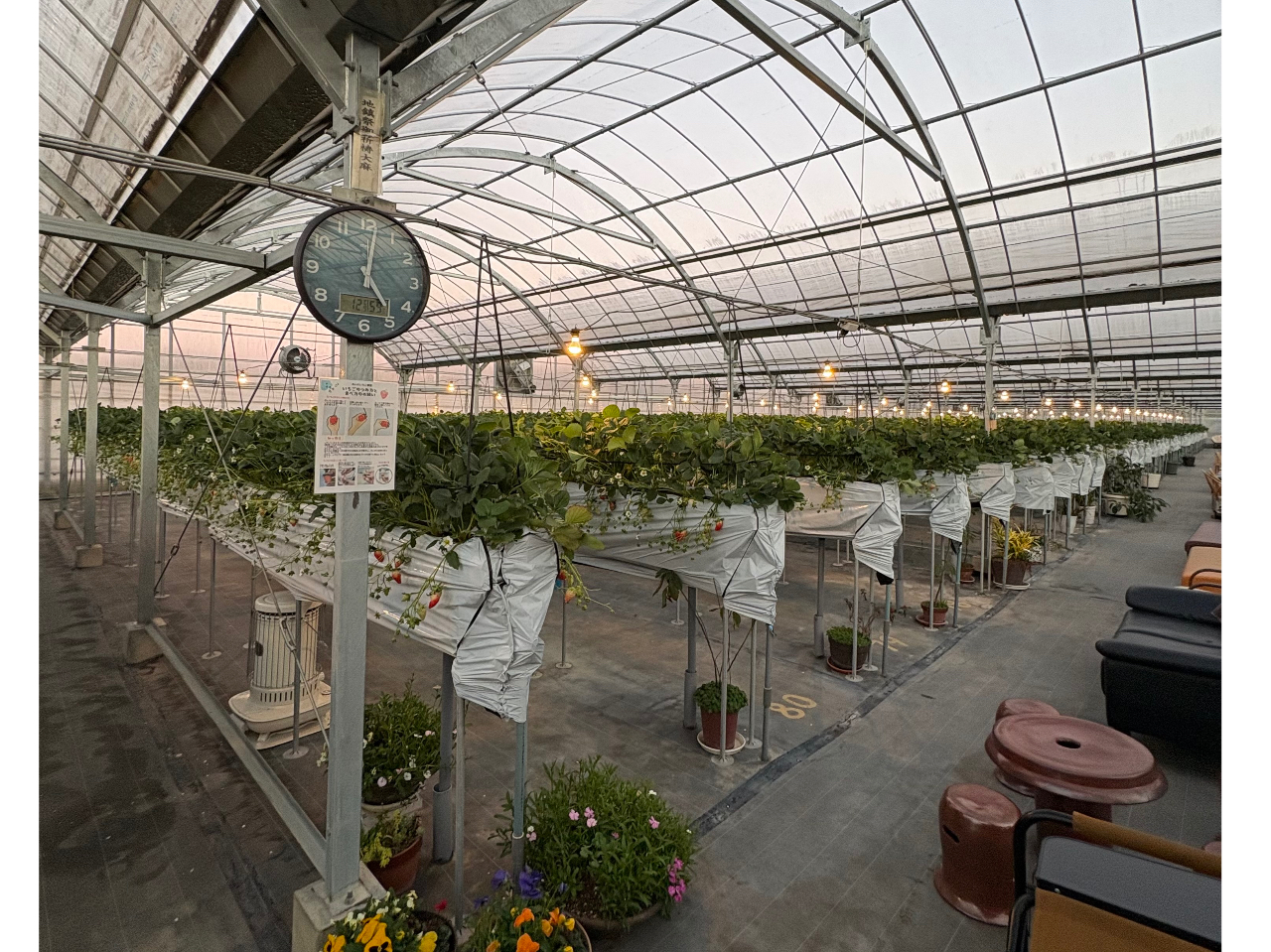 ��̂���������17���A18���A19����t�ł��B�������i�D�ł��z���������B