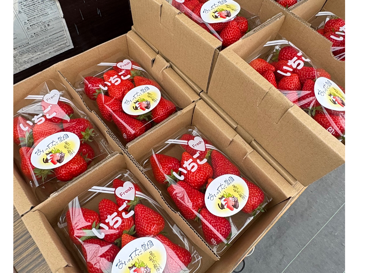 �����p�b�N�͂��d�b�ł����u���̂��\����B