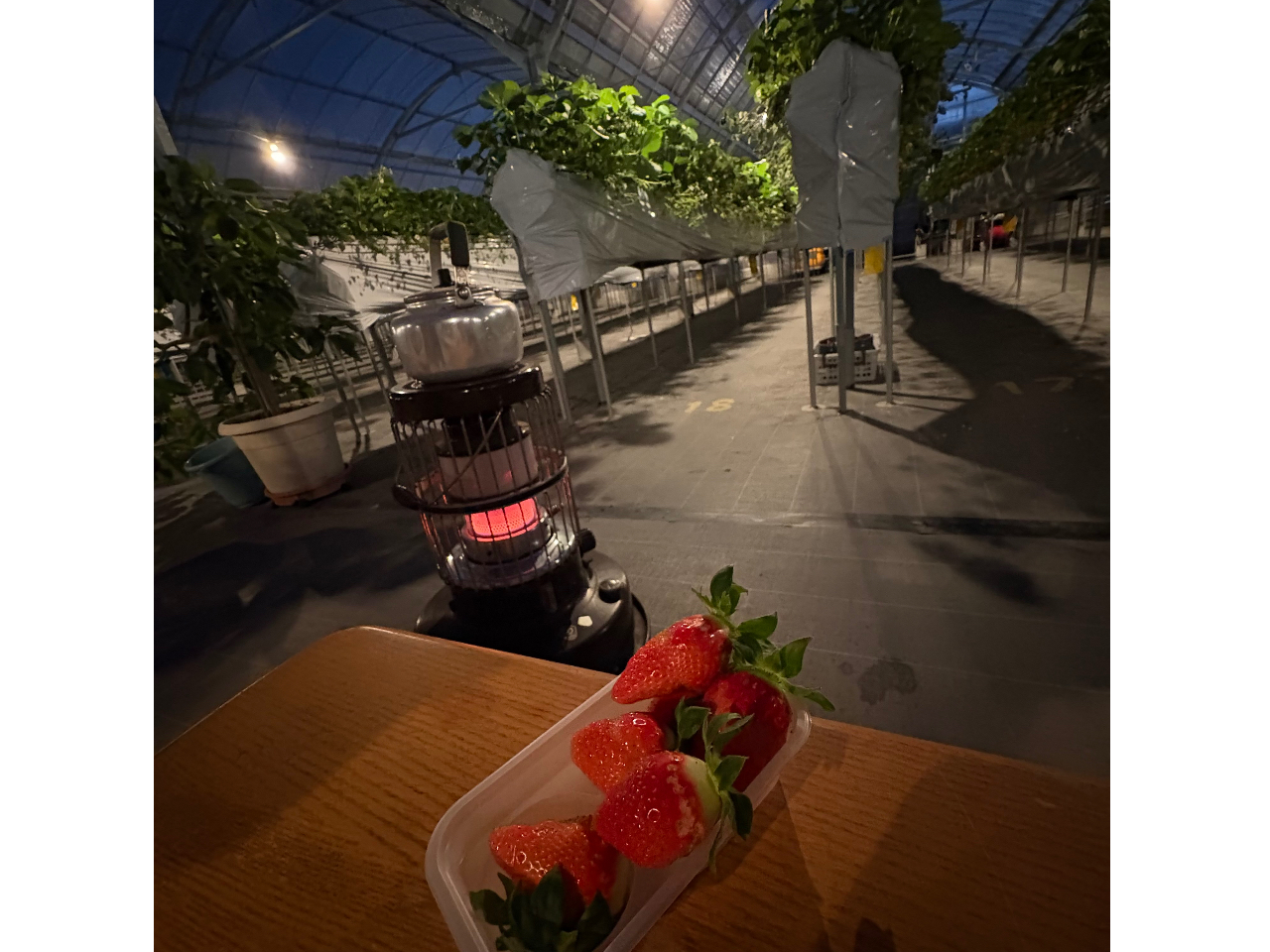 ��̓X�g�[�u�����p�ӂ������܂��B�ӂ��胉�C�g�A�b�v�̒���T���̗l�ɂ��y���݉������B