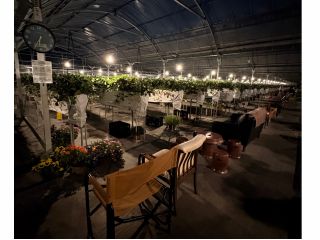 ナイトいちご狩り♪17時、18時、19時スタートでご準備しております。