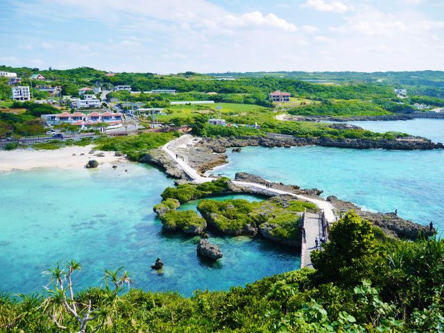 CM[}K[f@RR̋߂ɂ̓yVȂǂт܂BF񂱂̌iFɍĂ܂ł`