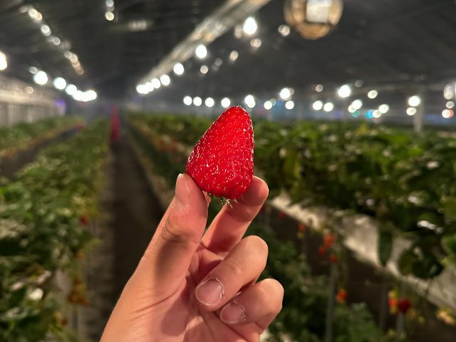 3`4̊ԌŁûvJÁO䗳AEgbgp[N̂Ȟɂ肪E߁