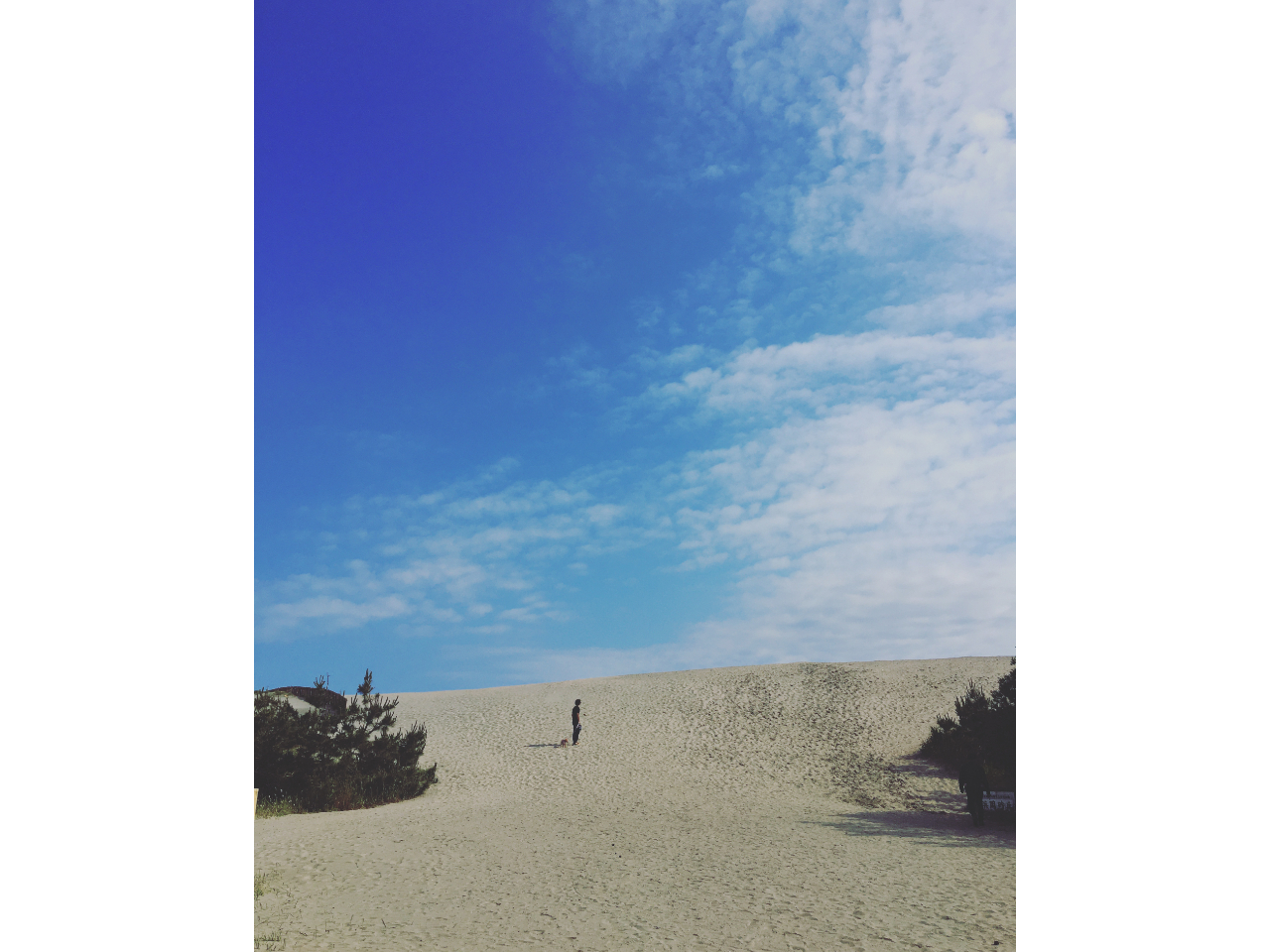 luB̂Ȃ͗[TZbgAV̋Cłɂ͐ɍsA̓ɂ͂ł܂B