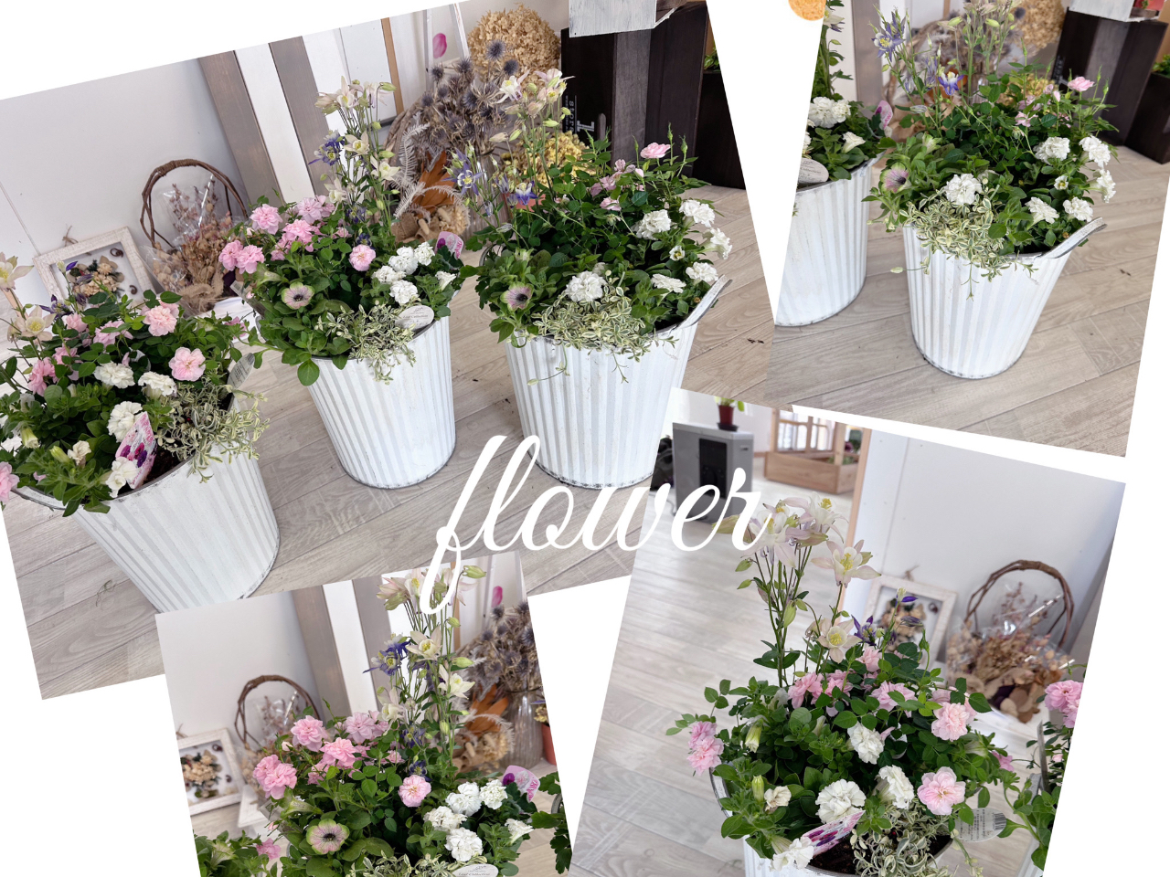 ワークショップ寄せ植え