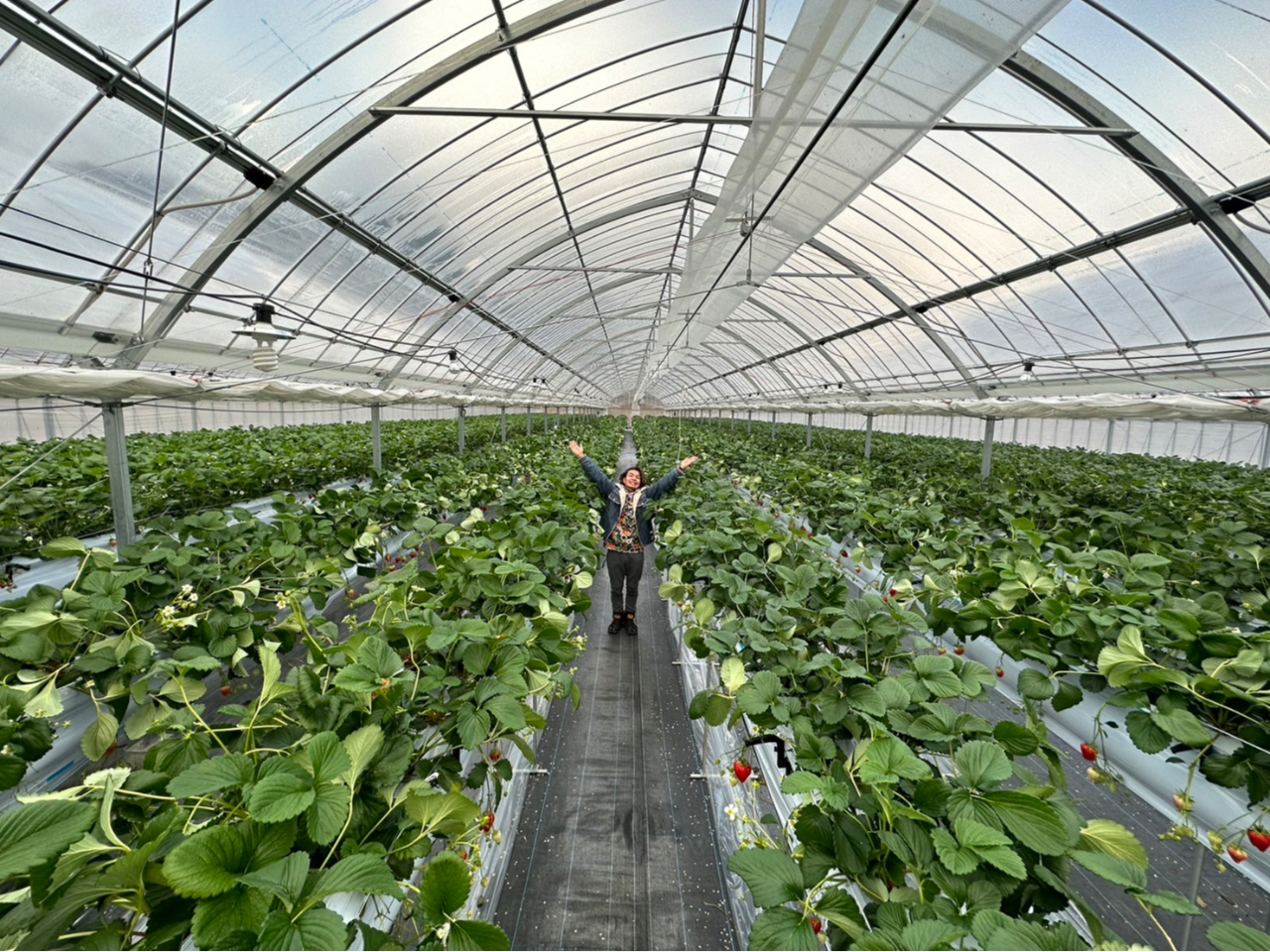 ���v�Q�W�O�O�������[�g���̍L��Ȏ{��