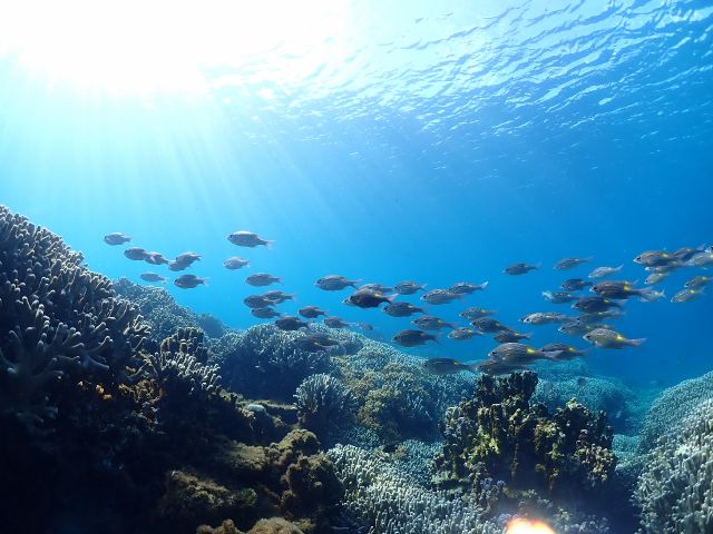 宮古島No.1ビーチは大満足間違いなし!