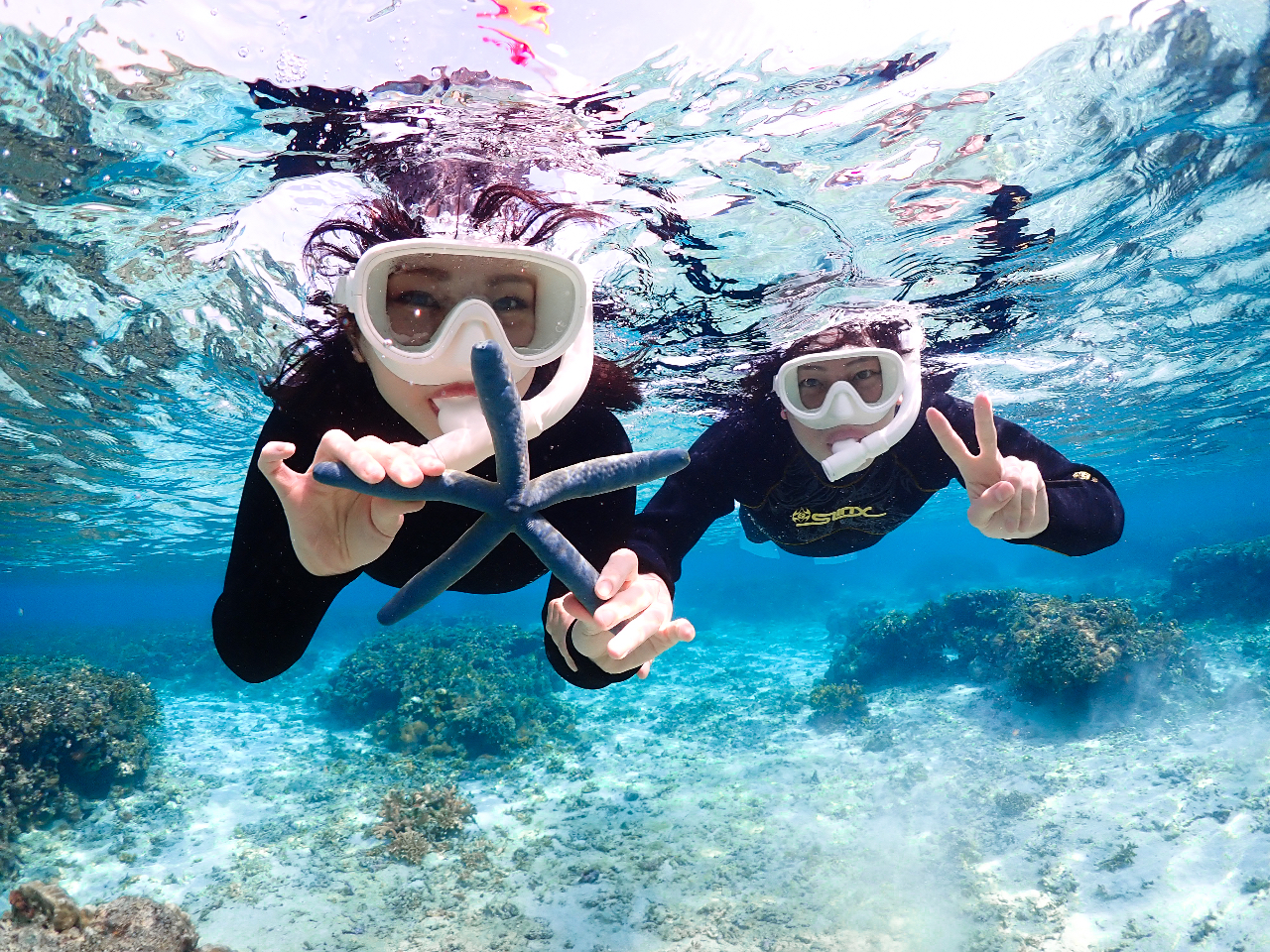 iCXX}CI{Ó̊CŋCtbVI