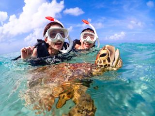 宮古島のウミガメ遭遇率現在100%!