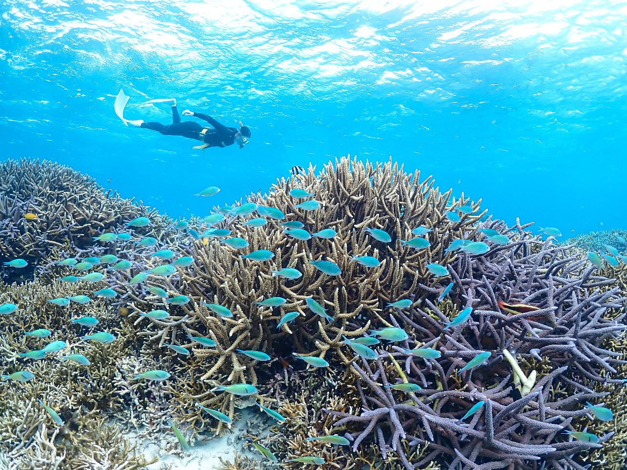 |Cgv]󂯕tĂ܂I肽C[WĂ(^ ^)