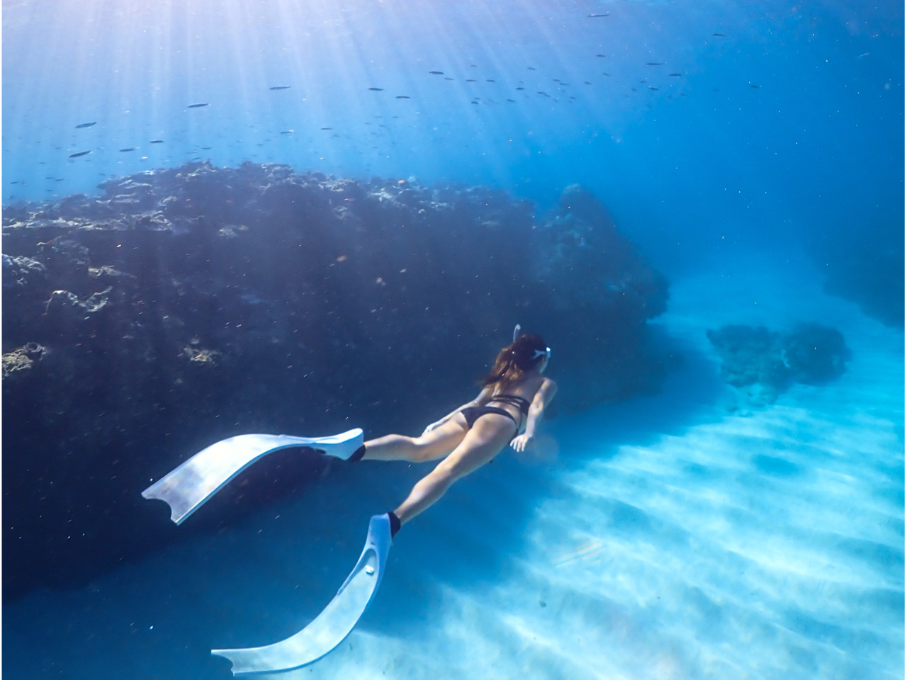 XL_CrOoɉă|Cg̑I₹܂I