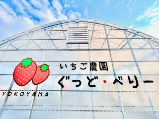 【味を楽しむいちご園「ぐっど・べりー」】最大9品種×10種のソースで最大90通りの味を楽しめるのはココだけ♪新設ハウスでゆったりとキレイな環境でいちご狩りを♪
