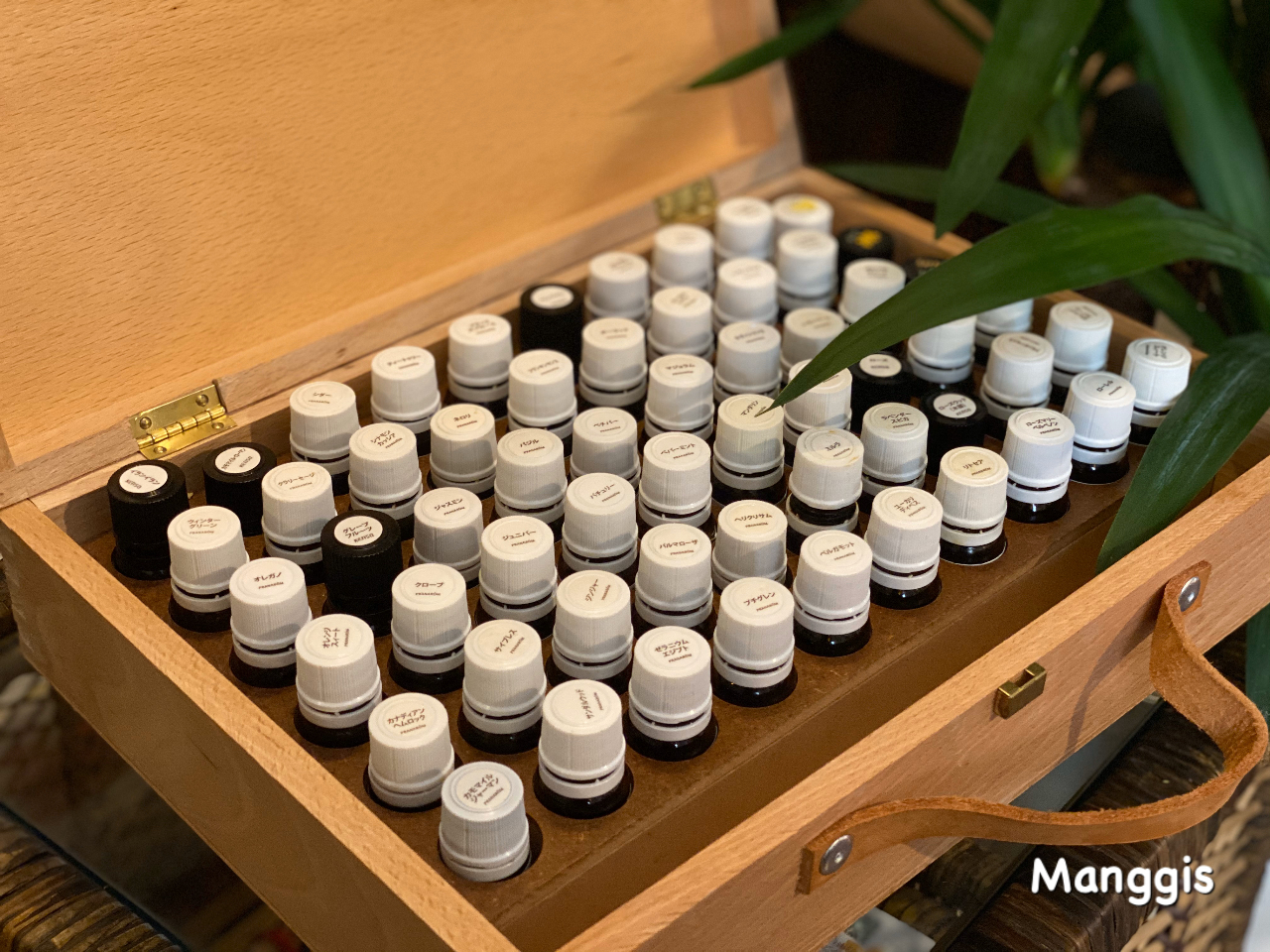 P^Cv50{ȏ̒ADȂ̂𐔖{IŃuhB ̍Ɂ