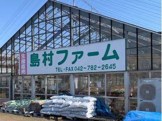 2023年からいちご狩りを始めました!花や野菜の苗を販売をしております。