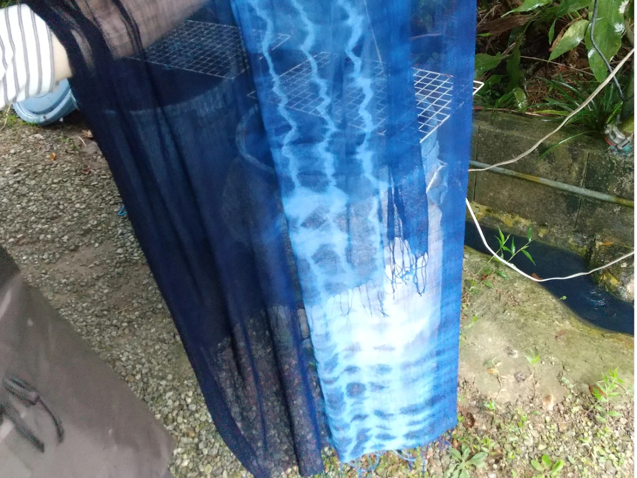 lC̃Xg[I₩ȕ̃Xg[܂傤(^O^)^