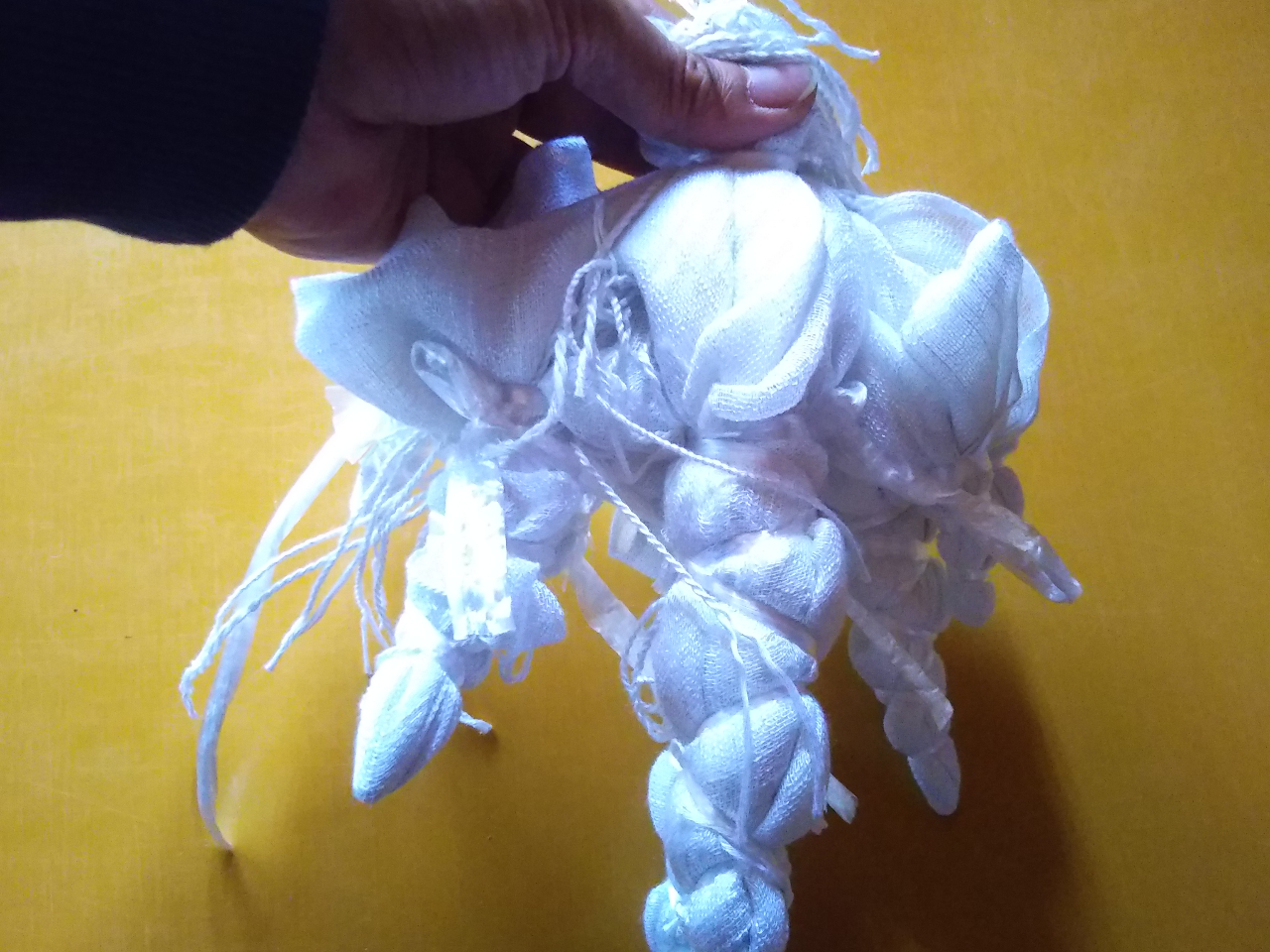 ꂪǂȕɂȂł傤ˁIH