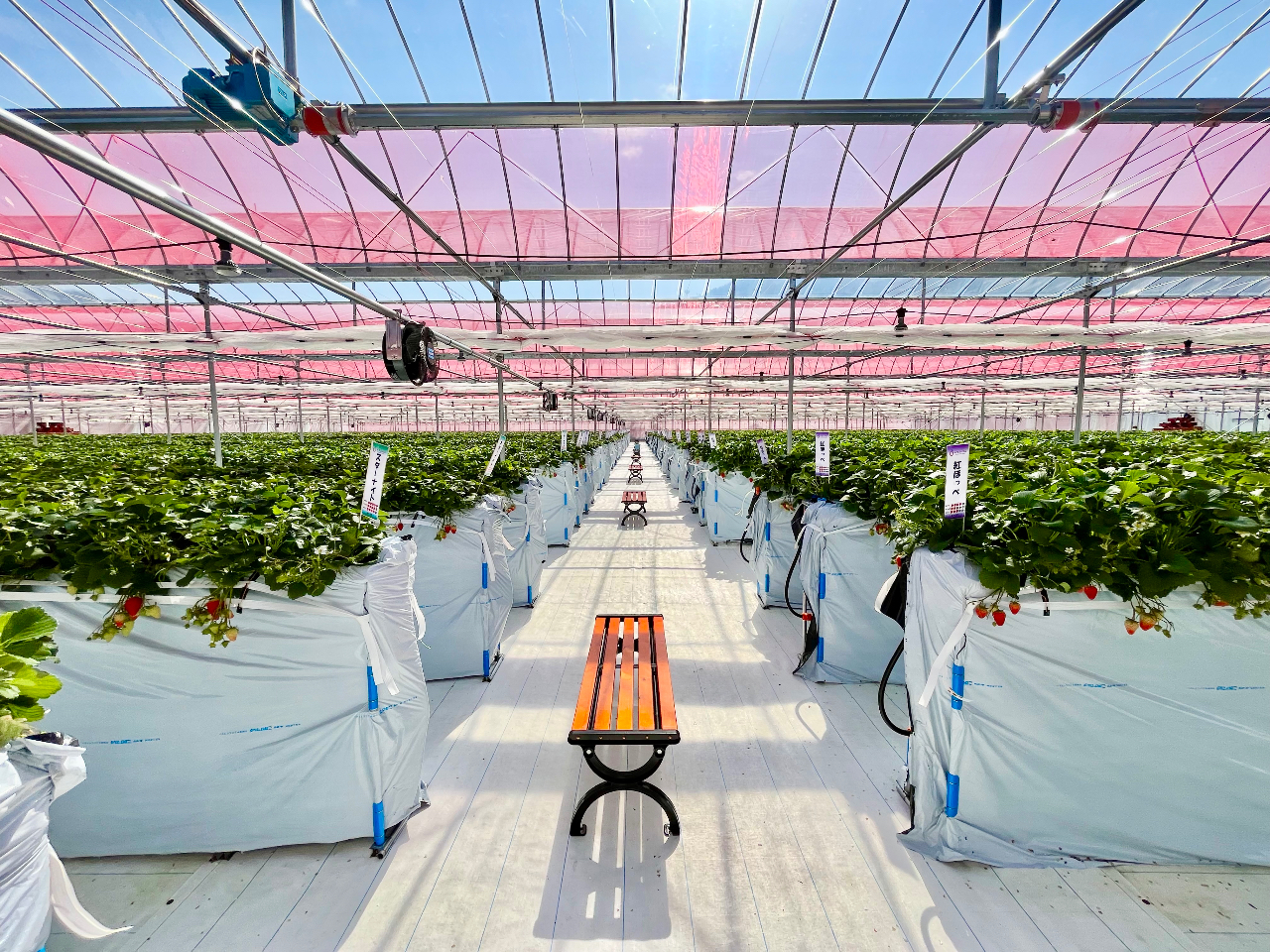 2023�N3���@�L���s��NEW OPEN�I�I�I�I