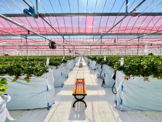 2023年3月 広島市にNEW OPEN!!!!