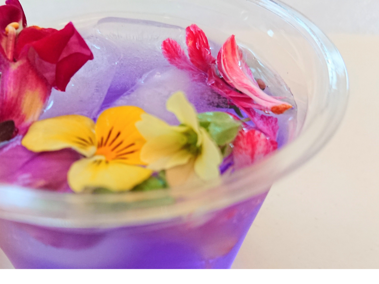 食べられるお花摘み体験】 エディブルフラワー・ハーブを 身近に