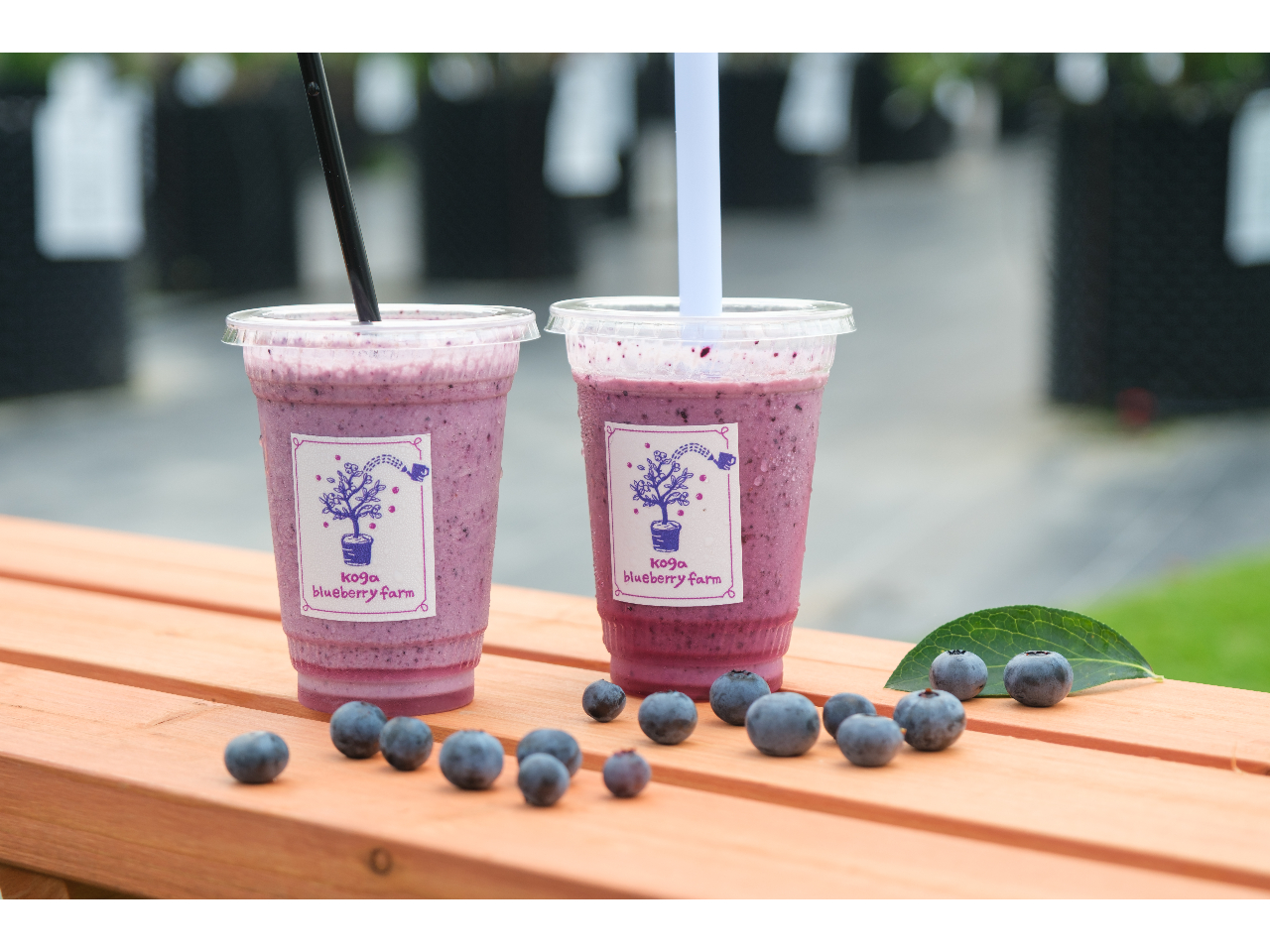 ��l�C�I�I�u���[�x���[�X���[�W�[�I�u���[�x���[���ӂ񂾂�Ɏg�p���Z���Ȗ��킢�ɁI�u���[�x���[���O�r�O�r����ł݂ĉ������I�u���Ɓv����̍��Í�����I