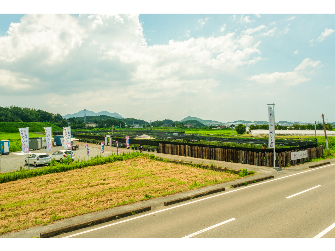 ÉC^[Ԃ5I傫Ȃ̂ڂ肪ڈł