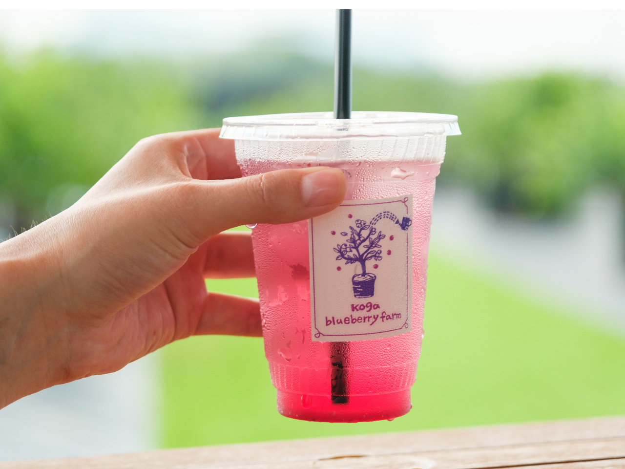 �u���[�x���[�r�l�K�[��Y�_�Ŋ������u�|�v���b�V���v�B�u���[�x���[�V���b�v�������Ă���̂ŊÎ_���ς����������ł��I���ɂ��F�X����܂�(^-^)