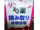摘み取り会場の畑にはこの看板があります。