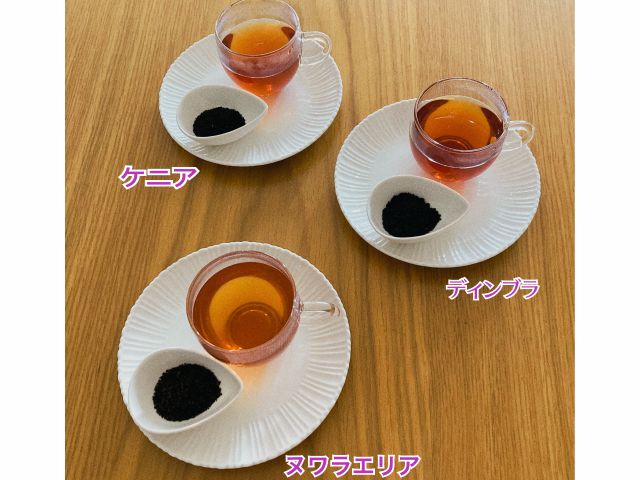 茶葉飲み比べ
